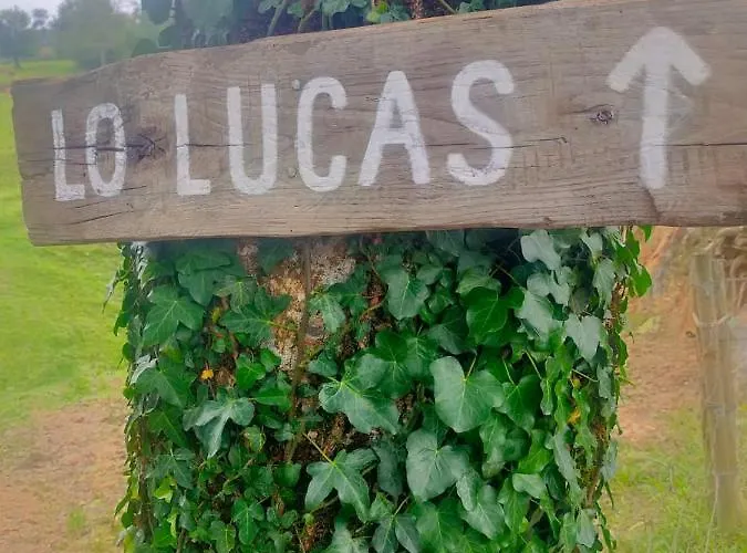 Vivienda Pasiega Lo Lucas 1920 San Roque de Ríomiera